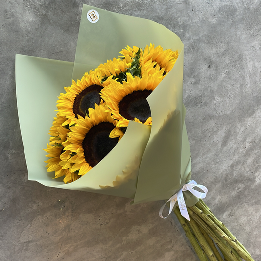 Girasoles